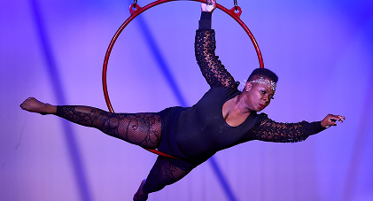 Pole Silks and Lyra Hoop Classes